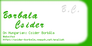 borbala csider business card
